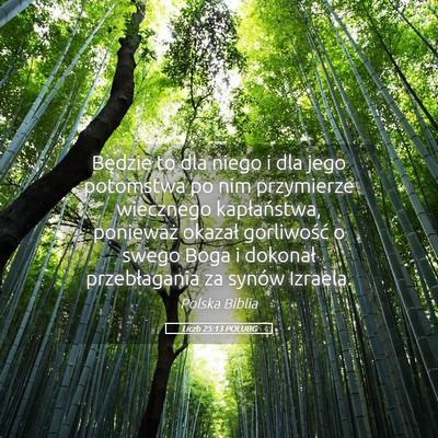 Picture 05 - Liczb 25:13 POLUBG - Będzie to dla niego i dla jego potomstwa po nim - Bible Verse Picture