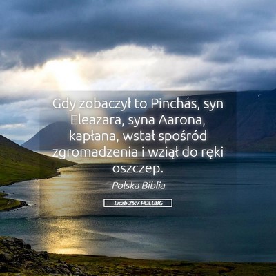 Picture 05 - Liczb 25:7 POLUBG - Gdy zobaczył to Pinchas, syn Eleazara, syna - Bible Verse Picture