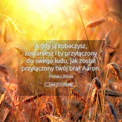 Picture 05 - Liczb 27:13 POLUBG - A gdy ją zobaczysz, zostaniesz i ty - Bible Verse Picture