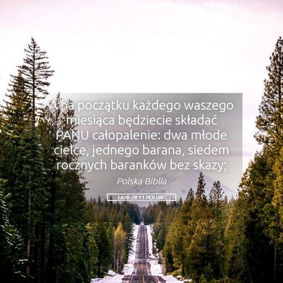 Picture 05 - Liczb 28:11 POLUBG - A na początku każdego waszego miesiąca - Bible Verse Picture