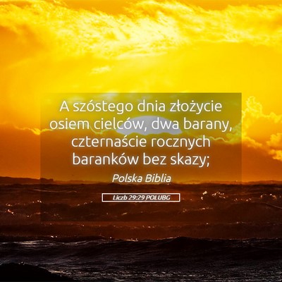 Picture 05 - Liczb 29:29 POLUBG - A szóstego dnia złożycie osiem cielców, dwa - Bible Verse Picture