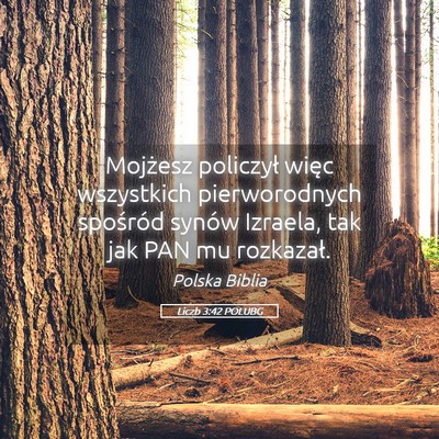 Picture 05 - Liczb 3:42 POLUBG - Mojżesz policzył więc wszystkich pierworodnych - Bible Verse Picture