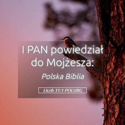 Picture 05 - Liczb 31:1 POLUBG - I PAN powiedział do - Bible Verse Picture