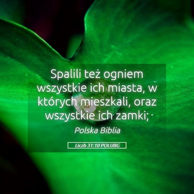 Picture 05 - Liczb 31:10 POLUBG - Spalili też ogniem wszystkie ich miasta, w - Bible Verse Picture