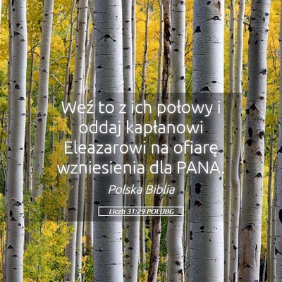 Picture 05 - Liczb 31:29 POLUBG - Weź to z ich połowy i oddaj kapłanowi - Bible Verse Picture