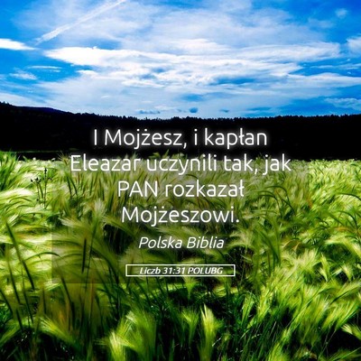 Picture 05 - Liczb 31:31 POLUBG - I Mojżesz, i kapłan Eleazar uczynili tak, jak - Bible Verse Picture