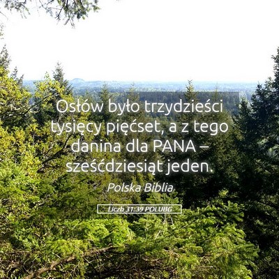 Picture 05 - Liczb 31:39 POLUBG - Osłów było trzydzieści tysięcy pięćset, a - Bible Verse Picture