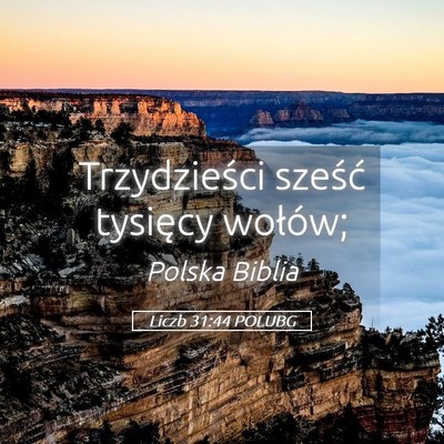 Picture 05 - Liczb 31:44 POLUBG - Trzydzieści sześć tysięcy - Bible Verse Picture