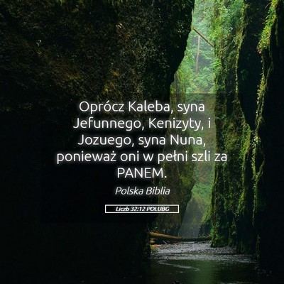 Picture 05 - Liczb 32:12 POLUBG - Oprócz Kaleba, syna Jefunnego, Kenizyty, i - Bible Verse Picture