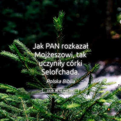 Picture 05 - Liczb 36:10 POLUBG - Jak PAN rozkazał Mojżeszowi, tak uczyniły - Bible Verse Picture