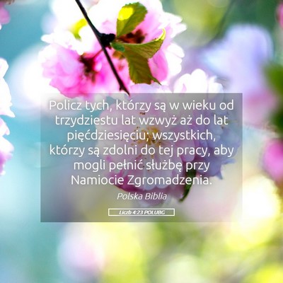 Picture 05 - Liczb 4:23 POLUBG - Policz tych, którzy są w wieku od trzydziestu - Bible Verse Picture