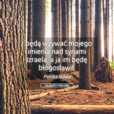 Picture 05 - Liczb 6:27 POLUBG - I będą wzywać mojego imienia nad synami - Bible Verse Picture