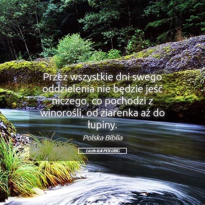 Picture 05 - Liczb 6:4 POLUBG - Przez wszystkie dni swego oddzielenia nie będzie - Bible Verse Picture