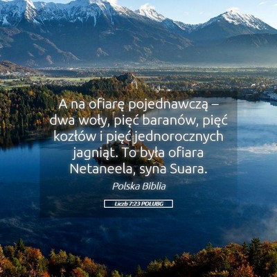 Picture 05 - Liczb 7:23 POLUBG - A na ofiarę pojednawczą – dwa woły, pięć - Bible Verse Picture