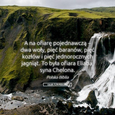 Picture 05 - Liczb 7:29 POLUBG - A na ofiarę pojednawczą – dwa woły, pięć - Bible Verse Picture
