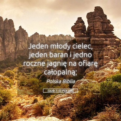 Picture 05 - Liczb 7:33 POLUBG - Jeden młody cielec, jeden baran i jedno roczne - Bible Verse Picture