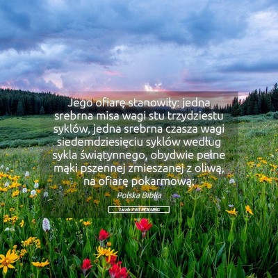 Picture 05 - Liczb 7:61 POLUBG - Jego ofiarę stanowiły: jedna srebrna misa wagi - Bible Verse Picture