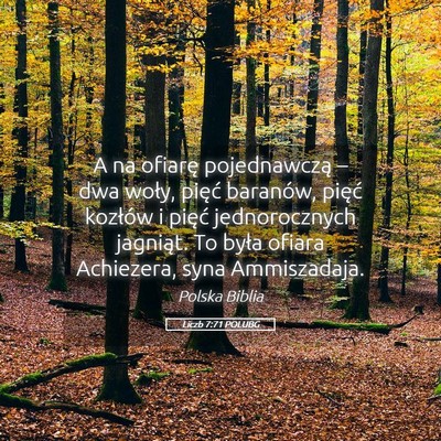 Picture 05 - Liczb 7:71 POLUBG - A na ofiarę pojednawczą – dwa woły, pięć - Bible Verse Picture