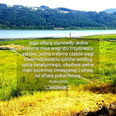 Picture 05 - Liczb 7:73 POLUBG - Jego ofiarę stanowiły: jedna srebrna misa wagi - Bible Verse Picture
