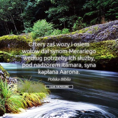 Picture 05 - Liczb 7:8 POLUBG - Cztery zaś wozy i osiem wołów dał synom - Bible Verse Picture