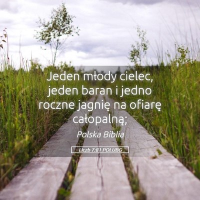 Picture 05 - Liczb 7:81 POLUBG - Jeden młody cielec, jeden baran i jedno roczne - Bible Verse Picture