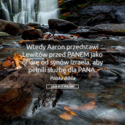Picture 05 - Liczb 8:11 POLUBG - Wtedy Aaron przedstawi Lewitów przed PANEM jako - Bible Verse Picture