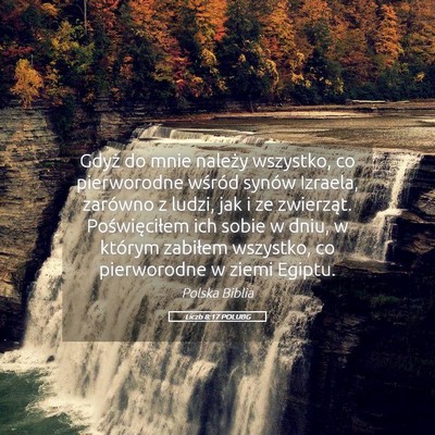 Picture 05 - Liczb 8:17 POLUBG - Gdyż do mnie należy wszystko, co pierworodne - Bible Verse Picture