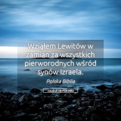 Picture 05 - Liczb 8:18 POLUBG - Wziąłem Lewitów w zamian za wszystkich - Bible Verse Picture