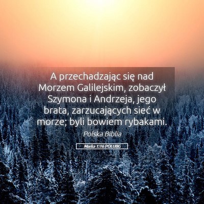 Picture 05 - Marka 1:16 POLUBG - A przechadzając się nad Morzem Galilejskim, - Bible Verse Picture
