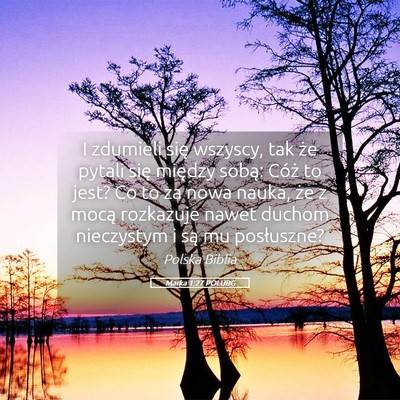 Picture 05 - Marka 1:27 POLUBG - I zdumieli się wszyscy, tak że pytali się - Bible Verse Picture