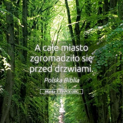 Picture 05 - Marka 1:33 POLUBG - A całe miasto zgromadziło się przed - Bible Verse Picture