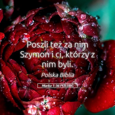 Picture 05 - Marka 1:36 POLUBG - Poszli też za nim Szymon i ci, którzy z nim - Bible Verse Picture