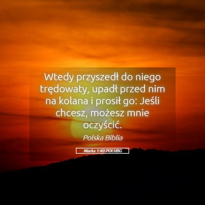 Picture 05 - Marka 1:40 POLUBG - Wtedy przyszedł do niego trędowaty, upadł - Bible Verse Picture