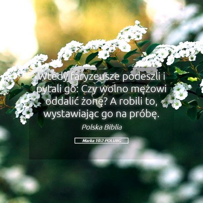 Picture 05 - Marka 10:2 POLUBG - Wtedy faryzeusze podeszli i pytali go: Czy wolno - Bible Verse Picture