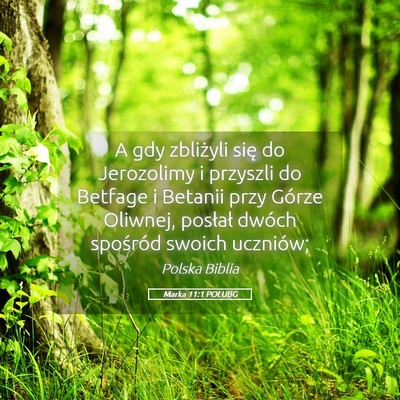 Picture 05 - Marka 11:1 POLUBG - A gdy zbliżyli się do Jerozolimy i przyszli do - Bible Verse Picture