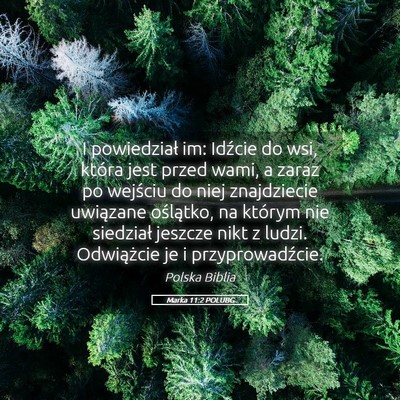 Picture 05 - Marka 11:2 POLUBG - I powiedział im: Idźcie do wsi, która jest - Bible Verse Picture