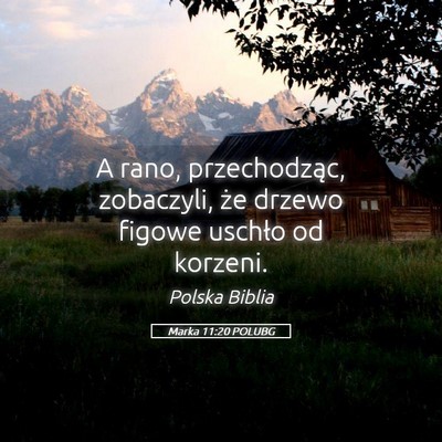 Picture 05 - Marka 11:20 POLUBG - A rano, przechodząc, zobaczyli, że drzewo - Bible Verse Picture