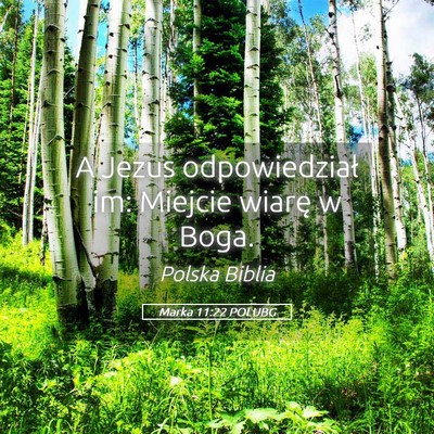 Picture 05 - Marka 11:22 POLUBG - A Jezus odpowiedział im: Miejcie wiarę w - Bible Verse Picture