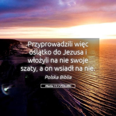 Picture 05 - Marka 11:7 POLUBG - Przyprowadzili więc oślątko do Jezusa i - Bible Verse Picture