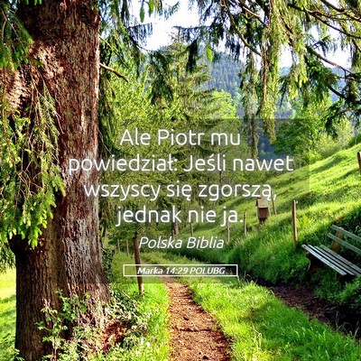 Picture 05 - Marka 14:29 POLUBG - Ale Piotr mu powiedział: Jeśli nawet wszyscy - Bible Verse Picture