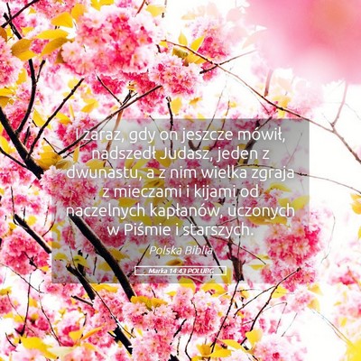 Picture 05 - Marka 14:43 POLUBG - I zaraz, gdy on jeszcze mówił, nadszedł - Bible Verse Picture
