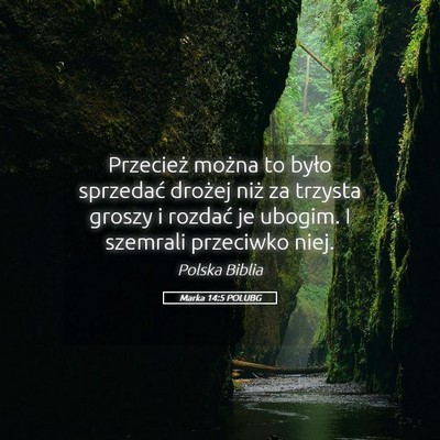 Picture 05 - Marka 14:5 POLUBG - Przecież można to było sprzedać drożej niż - Bible Verse Picture