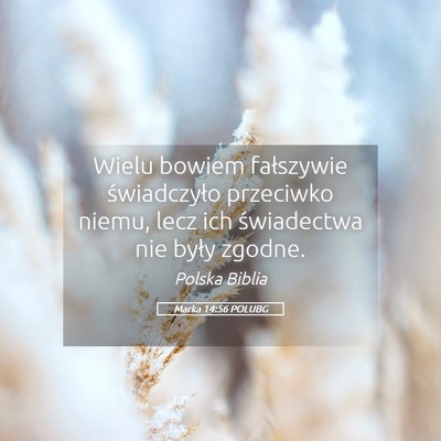Picture 05 - Marka 14:56 POLUBG - Wielu bowiem fałszywie świadczyło przeciwko - Bible Verse Picture