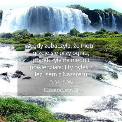 Picture 05 - Marka 14:67 POLUBG - A gdy zobaczyła, że Piotr grzeje się przy - Bible Verse Picture