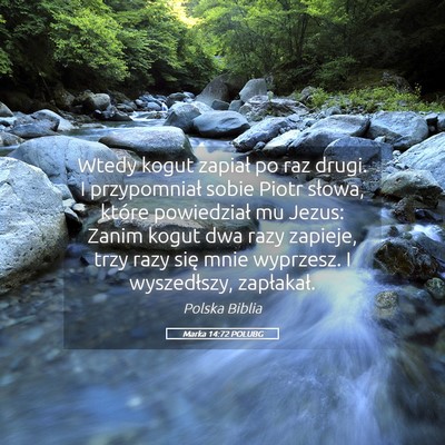 Picture 05 - Marka 14:72 POLUBG - Wtedy kogut zapiał po raz drugi. I przypomniał - Bible Verse Picture