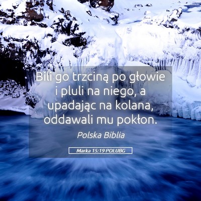 Picture 05 - Marka 15:19 POLUBG - Bili go trzciną po głowie i pluli na niego, a - Bible Verse Picture