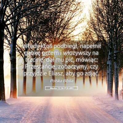 Picture 05 - Marka 15:36 POLUBG - Wtedy ktoś podbiegł, napełnił gąbkę octem i - Bible Verse Picture