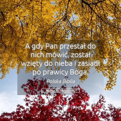 Picture 05 - Marka 16:19 POLUBG - A gdy Pan przestał do nich mówić, został - Bible Verse Picture