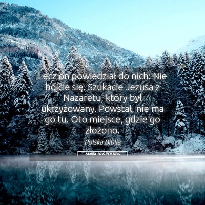 Picture 05 - Marka 16:6 POLUBG - Lecz on powiedział do nich: Nie bójcie się. - Bible Verse Picture