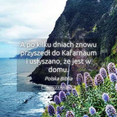 Picture 05 - Marka 2:1 POLUBG - A po kilku dniach znowu przyszedł do Kafarnaum i - Bible Verse Picture